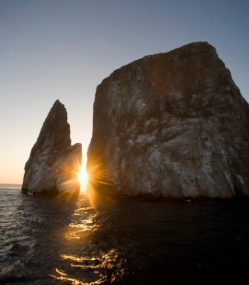 Luxury Tours